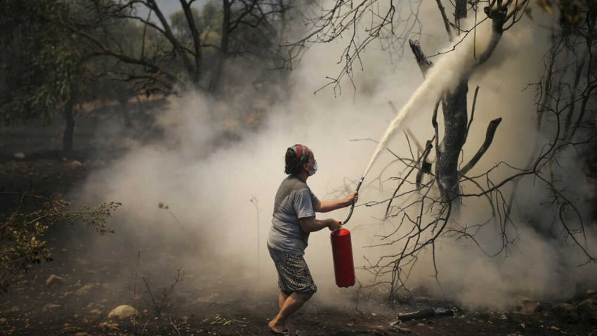 Türkiye, orman yangını savaşının ortasında dik fiyat artışlarını çökertecek